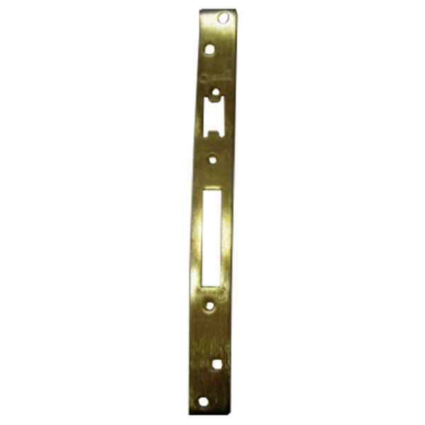 FRONTAL ANTIGUO PARA CERRADURA 1001