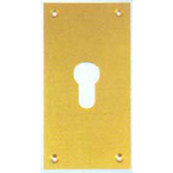 PLACA EMBELLECEDORA BERNIAL LATON